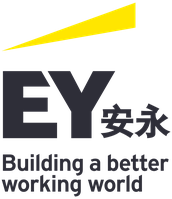 EY Transaction Advisory Services Inc.